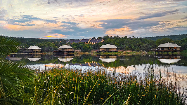 Photo of Add these cash fund items to your Honeyfund to fund your luxury safari honeymoon in Hippo Lakes, South Africa! Includes an elephant experience, a BBQ dinner with safari rangers and other upgrades to make your trip a honeymoon.